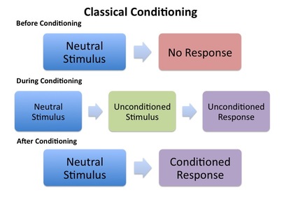 classical conditioning is a type of learning in which