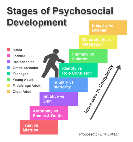the genital stage of psychological development occurs from about ages
