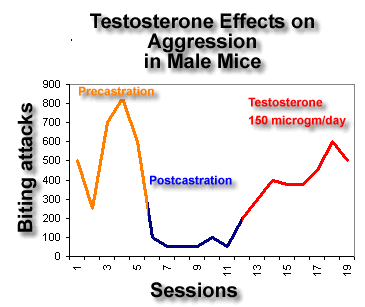 Do females produce testosterone