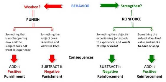 bf skinner operant conditioning theory